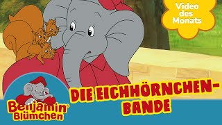 Benjamin Blümchen  Die Eichhörnchenbande  VIDEO DES MONATS SEPTEMBER [upl. by Ziladnerb160]