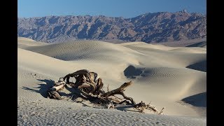 La vallée des ossements desséchés  La vision prophétique reçue par le prophète Ezéchiel [upl. by Tildy]