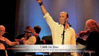 Michael Seida I steh im Stau [upl. by Arsi]