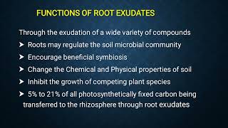 Root Exudates [upl. by Merl935]