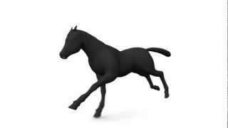 Horse Gallop Animation HD [upl. by Aidile]