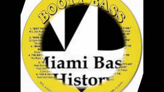 The Miami Bass DJs  The birthday jam [upl. by Fuld680]