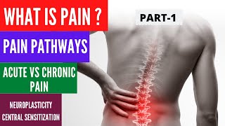 Pain Part 1  What is Pain Pain pathways DPMS Acute vs Chronic Pain Central Sensitization [upl. by Moriah]