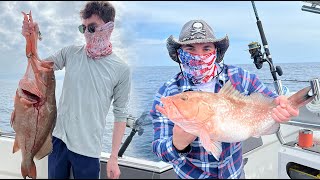 Deep Sea Red Grouper Fishing St Pete Clearwater Florida Fishing Charters [upl. by Susan]