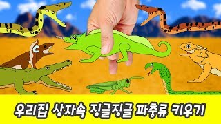 한국어ㅣ우리집 상자속 징글징글 파충류 키우기 어린이 동물 만화 파충류 이름 맞추기ㅣ꼬꼬스토이 [upl. by Payton]