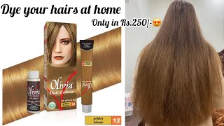 Dye your hairs at home Only in Rs250😱 Tips for coloring your own hairs Budget friendly [upl. by Idnahk]