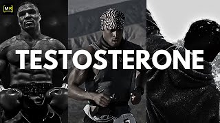 Testosterone  Motivation Realm [upl. by Linnette]