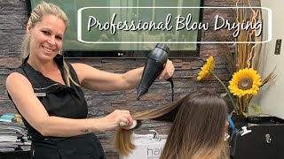 How To Professional Blow Dry With No Frizz  Salon Secrets and Techniques [upl. by Moira]