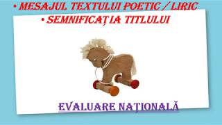 MESAJUL TEXTULUI LIRIC și SEMNIFICAȚIA TITLULUI  EVALUAREA NAȚIONALĂ [upl. by Vod]