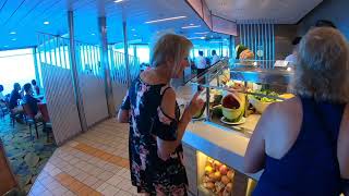 Celebrity Reflection Cruise Ship Tour 2019 [upl. by Aihtenyc]