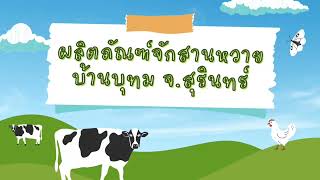 การวิเคราะห์6W1H ผลิตภัณฑ์จักสานบ้านบุทม [upl. by Eadahc]