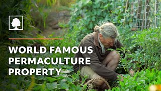 World Famous Permaculture Property Tour – David Holmgren and Su Dennetts Melliodora [upl. by Eilliw]