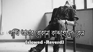 Boka pakhi ।।বোকা পাখি আপন চিনলি না ।। Atif Ahmed Niloy।। Bengali sad lofi mix song।।Slowed amp Reverb [upl. by Nivla]