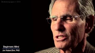 Jon KabatZinn Mindfulness 9 attitudes  beginners mind [upl. by Kallista]