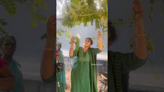 வெற்றி வாகை பூ☘️ Flea Tree  தூங்குமூஞ்சி பூ  Rain Tree  பண்ணிவாகை villagelife nature kids [upl. by Trahurn404]