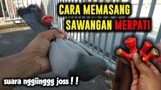 CARA MEMASANG SAWANGAN MERPATI YANG BAIK DAN BENAR ANTILEPAS [upl. by Ysied119]