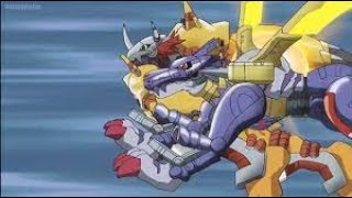 warp digivolve of agumon and gabumon to wargreymon amp metalgarurumon english dubbed [upl. by Irena760]