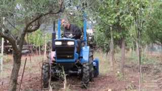 trattore usato Iseki tx1500 prova con fresa iseki CavallieCavalli macchine agricole Sardegna [upl. by Runck]