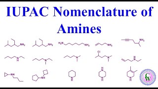 IUPAC Namenclature of amines [upl. by Lerad]