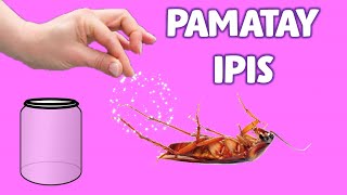 Ano mabisang pamatay ipis Natural na paraan para maiwasan cockroach at puksain [upl. by Sorodoeht845]