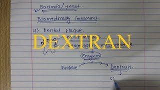 21 Dextran Polysaccharide [upl. by Selry]