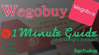 Wegobuy  1 Minute quotEverything You Need to Knowquot Guide [upl. by Acissj]