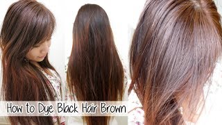 How To Turn White Or Grey Hair Into Black Naturally With No Chemicals Natural Hair Dye Step By Step [upl. by Nirret76]