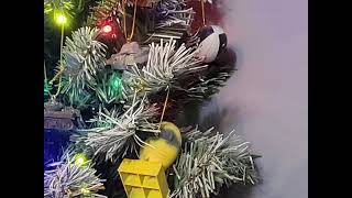 Christmas tree for the office mancave [upl. by Dola]