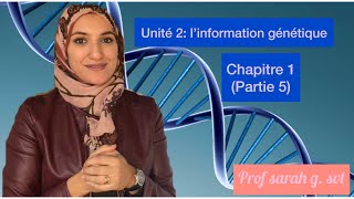 Unité 2chapitre 1 partie 5 ADN nucléotide histone [upl. by Namlas]