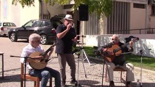 Fado do 31  Xico Fadista ao vivo em Monte Real Leiria Viola Fado e Guitarra Portuguesa Fados [upl. by Ecnahs18]