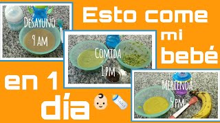 COMIDA PARA BEBES DE 7 meses en 1 día 👶🏻COMIDA PARA BEBÉS [upl. by Hailahk976]