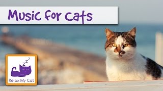 Music for Cats  Soothing Sounds to Calm your Cat [upl. by Hidie554]