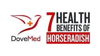 7 Health Benefits Of Horseradish [upl. by Dietz]