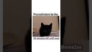 procrastinators be like [upl. by Cindelyn]