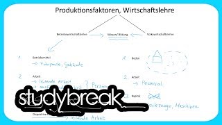 Produktionsfaktoren Dispositive Faktor  Grundbegriffe der Wirtschaftslehre [upl. by Nnyla341]