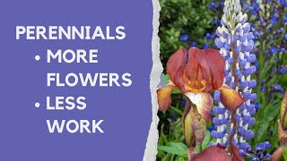 Perennials made easy  how to choose and grow the best plants for your borders [upl. by Ennirak]