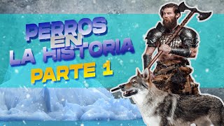 Los PERROS a lo largo de la HISTORIA  Parte 1 [upl. by Agatha]