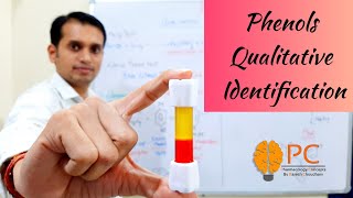 Phenols Part 5 Qualitative Identification Tests for phenols [upl. by Ognimod]