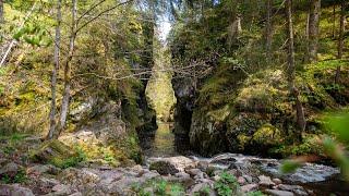 Viadukt und Schluchtentour im Schwarzwald  Raus mit Klaus [upl. by Lew295]