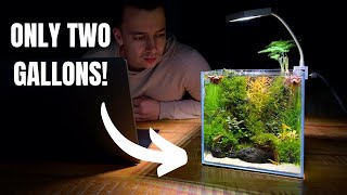 I Made a Mini DESK AQUARIUM Without a Filter Aquascape Tutorial [upl. by Esila]