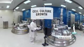 Making Medicines in 360 [upl. by Hovey]