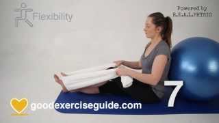 10 Best Exercises for Knee Arthritis Full Physio Sequence [upl. by Fredel]