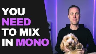 WHY YOU NEED TO MIX IN MONO  Streakycom [upl. by Ennaimaj]