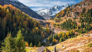 Fallling for autumn in Switzerland  how the landscape is changing 4K [upl. by Enylorac]