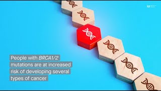 Identifying women who may have BRCA12 mutations with circulating miRNAs [upl. by Rma888]