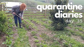 Quarantine Diaries Vlog Day 35  LOADS of Eggs  Allotment Life  Pheasant Eggs  🌞 [upl. by Sparky]