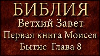 БиблияВетхий заветПервая книга Моисея БытиеГлава 8 [upl. by Elodie412]