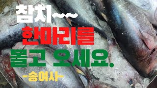 잇썸TV집에서도 참치 조림을 횟감은 냉동실에서 대기중 대가리랑 뼈로 참지조림을 Korean make food [upl. by Snah928]