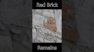 Red Bricks in quotOld Stone Wallquot  meltology bricks redbricks [upl. by Abisha]