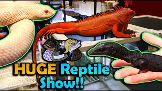 Tinley NARBC March 2023 Reptiles Galore [upl. by Roehm]